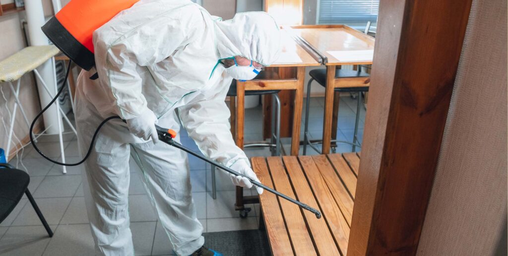 descupinização em SP