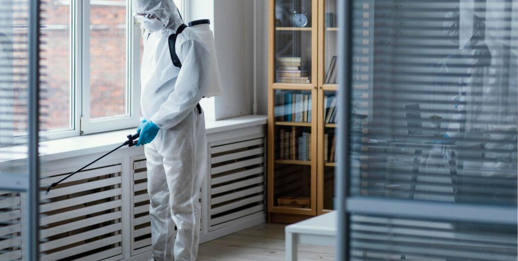 Desinsetização em SP