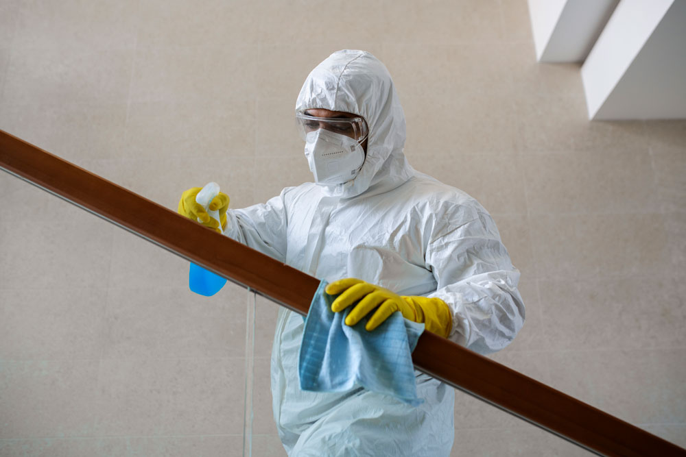 Empresa de Dedetização de Baratas na Vila Olímpia