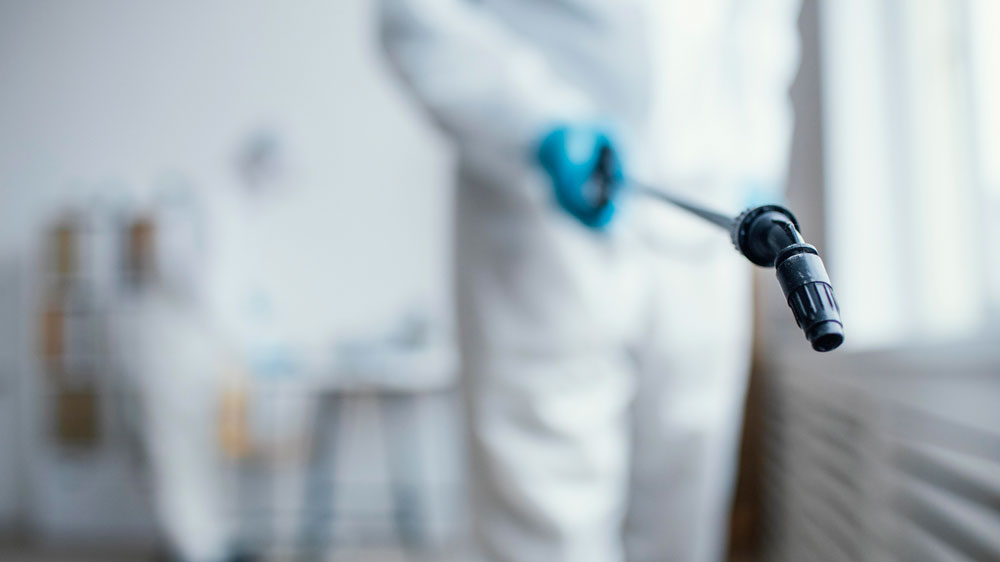 Empresa de Dedetização de baratas no Centro de SP