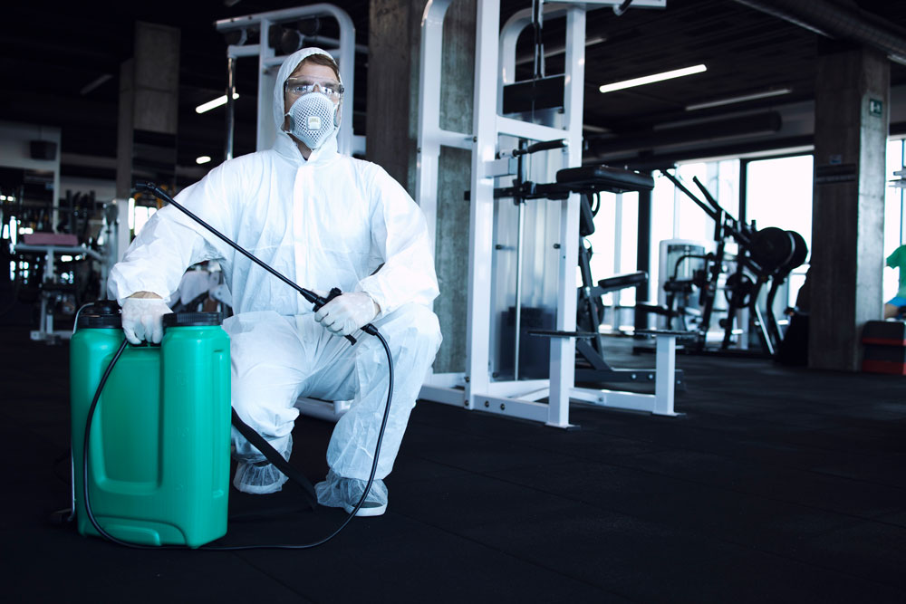 empresa de dedetização de ratos em Osasco