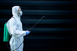 dedetização no Centro de SP