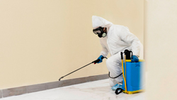 dedetização em Moema