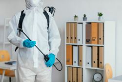 dedetizacao-na-zona-norte-sp