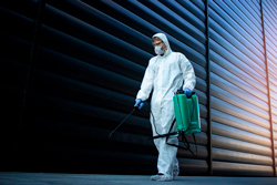 dedetizadora em Moema