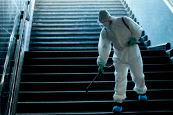 empresa-de-dedetizacao-em-moema