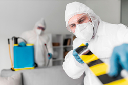 empresa-de-dedetizacao-na-zona-oeste-SP