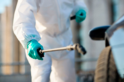 empresa-dedetizacao-baratas-em-pinheiros