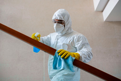 acao-baratas-na-vila-olimpia-