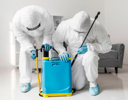 empresa-dedetizacao-pulgas-em-guarulhos-