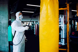 empresa-dedetizadora-de-cupins-em-jundiai-