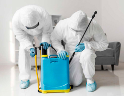 empresa-dedetizadora-de-cupins-em-moema-