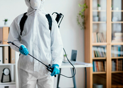 empresa-dedetizadora-de-cupins-em-osasco-