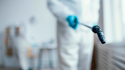 empresa-dedetizadora-de-morcegos-em-atibaia-