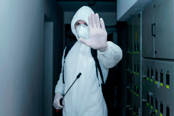 empresa-dedetizadora-de-morcegos-em-mairipora-