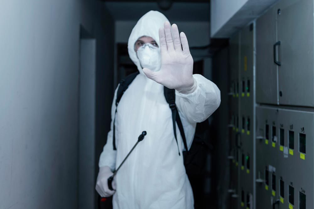 empresa de dedetização de morcegos em Mairiporã