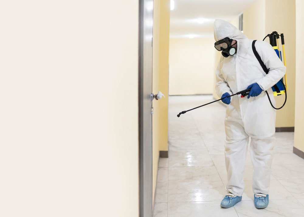 empresa-dedetizadora-de-pragas-em-osasco