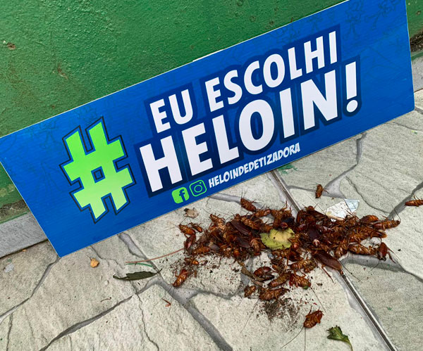 dedetização de baratas