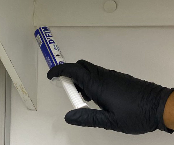 aplicação de gel para formiga