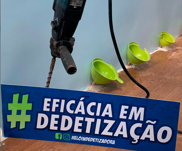 cupim de solo