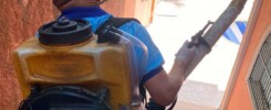 Como Eliminar Baratas Definitivamente