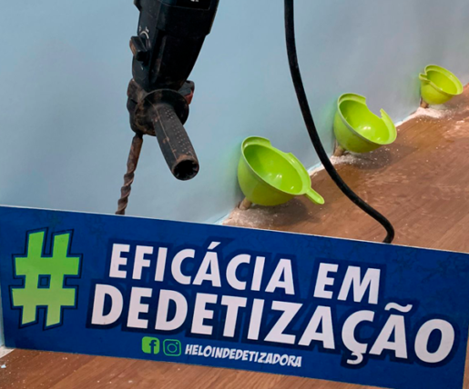 Cupim de Solo