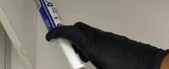 aplicação de gel para formiga