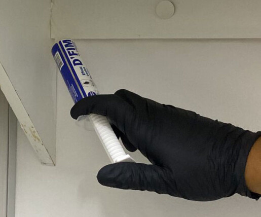 aplicação de gel para formiga